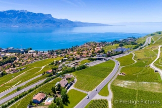Grapevines on the banks of Lake Geneva by Prestige Pictures